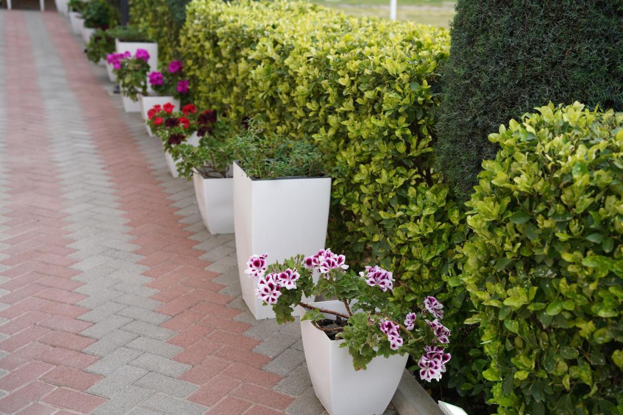 Apartments Costa Azzurra Velipojë Exteriér fotografie